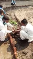 Green Seekers Activity